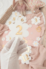Load image into Gallery viewer, New Pink Daisy SET - Name sign &amp; Milestone Pack with Gold Butterflies
