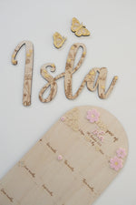 Load image into Gallery viewer, Daisy First Birthday Photo Board
