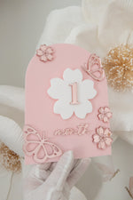 Load image into Gallery viewer, Cherry Blossom Milestone 12 Month Set - Pink Rose Gold Girls
