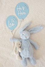 Load image into Gallery viewer, Baby Balloon Girl Boy Announcement
