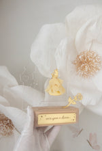 Load image into Gallery viewer, Princess Castle Magical Dreams
