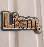Load image into Gallery viewer, Etched Dino Triple Layer Signage SMALL Door Sign
