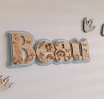 Load image into Gallery viewer, Etched Dino Triple Layer Signage SMALL Door Sign
